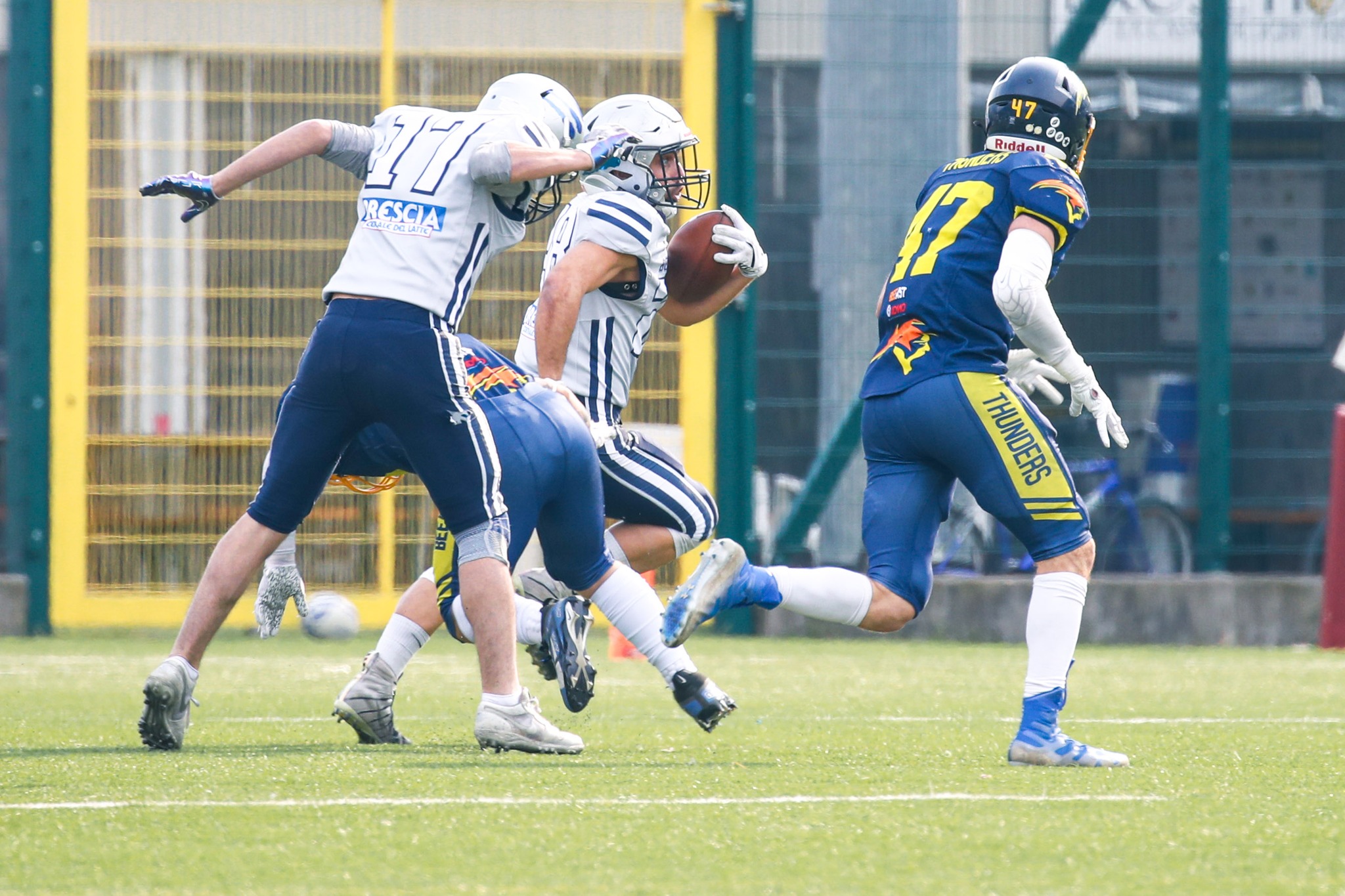 bengals a trento3